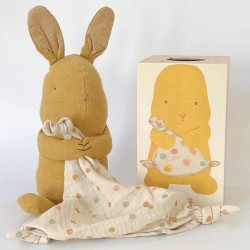 Lullaby friends lapin